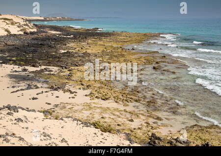 Blick nach Norden an der Küste des Parque Natural de Las Dunas de Corralejo, Fuerteventura Stockfoto