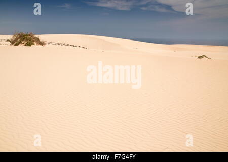 Sanddünen im Parque Natural de Las Dunas de Corralejo, Fuerteventura Stockfoto