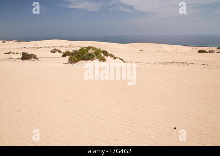 Sanddünen im Parque Natural de Las Dunas de Corralejo, Fuerteventura Stockfoto