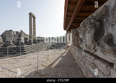 Ein Stein gemeißelten Medusenhaupt in Didyma war eine antike griechische Heiligtum Stockfoto