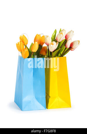 Tulpen im Warenkorb isoliert auf weiss Stockfoto