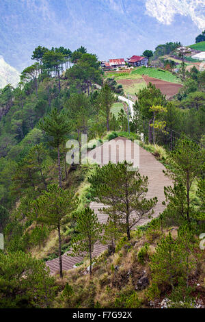 Pflanzlichen Farm in den Grand Cordillera Bergen in der Nähe von Sagada, Nord-Luzon, Philippinen, Südostasien. Stockfoto