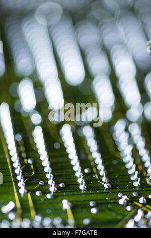 Reihen von gelöteten elektrischen Komponenten auf Platine zeigt Lötverbindungen computing motherboard Stockfoto