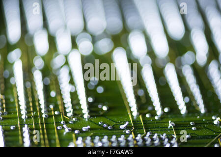Reihen von gelöteten elektrischen Komponenten auf Platine zeigt Lötverbindungen computing motherboard Stockfoto