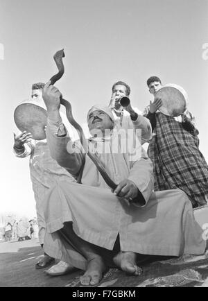 Ein Schlangenbeschwörer und Musiker führen am Platz Jema al-Fna, Marrakesch, Marokko, Nordafrika Stockfoto