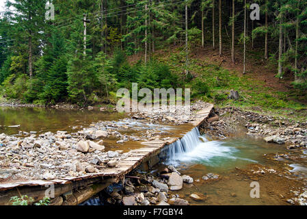Bergbach im Wald mit kleinem Wasserfall Stockfoto