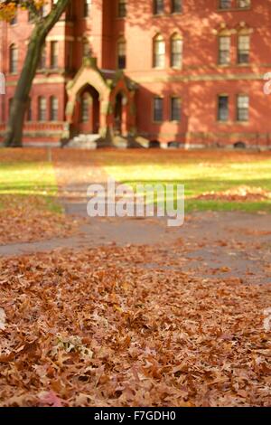 Im Herbst Laub in Harvard Yard an der Harvard University in Cambridge, Massachusetts Stockfoto