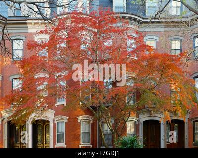 Herbst in der schönen und historischen Südende Nachbarschaft von Boston, Massachusetts. Stockfoto