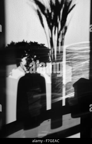 Schatten an der Wand von getrockneten Blumen in Vasen auf dem Tisch Stockfoto