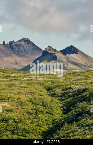 Kristinartindar Berge, Vatnajökull-Nationalpark, Island Stockfoto