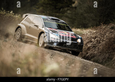 Sebastien Ogier & Julien Ingrassia auf Stufe 3 der Wales Rally GB 2015 in ihren Vw Polo R WRC Stockfoto