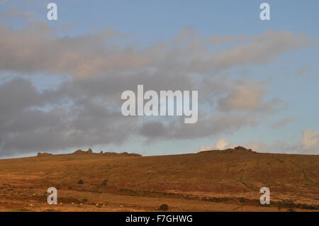 Blick auf die großen und mittleren heften Heften tor Tor über whitchurch Gemeinsame im Winter, von Schweinefleisch Hill, Nationalpark Dartmoor, Devon Stockfoto