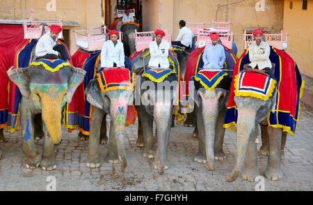 Elefanten warten auf Touristen, Amber Fort Amber Palast, Jaipur, Rajasthan, Indien Stockfoto