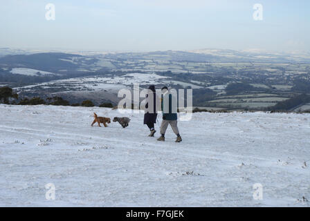 Paare, die Hunde auf Whitchurch häufig in Winter, Nationalpark Dartmoor, Devon. Stockfoto