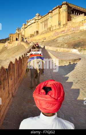 Elefanten reiten, Amber Fort in Jaipur, Rajasthan, Indien, Asien Stockfoto