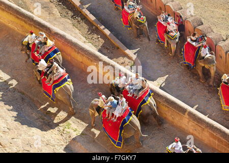 Elefanten, die Touristen auf das Amber Fort in Jaipur, Rajasthan, Indien Stockfoto