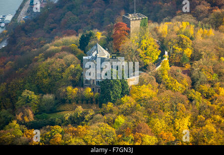 Burg Rheineck im Rheintal, Rhein, Herbstlaub, Bad Breisig, Ahrweiler, Rheinland-Pfalz, Deutschland, Europa, Antenne Stockfoto