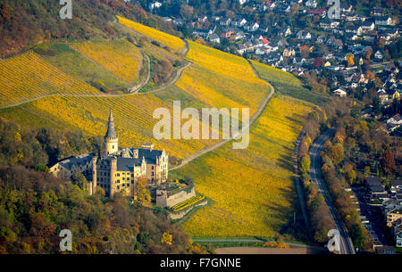 Weinberge im Herbst, Weinblätter, Ernte spät Arenfels Castle, im Besitz von Baron Antonius Geyr von Schweppenburg, Bad Breisig, Stockfoto