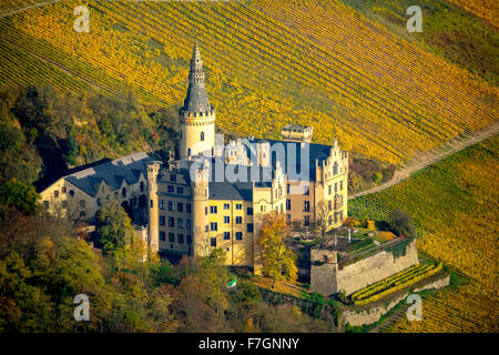 Weinberge im Herbst, Weinblätter, Ernte spät Arenfels Castle, im Besitz von Baron Antonius Geyr von Schweppenburg, Bad Breisig, Stockfoto