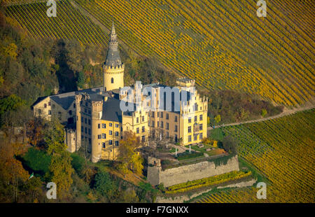 Weinberge im Herbst, Weinblätter, Ernte spät Arenfels Castle, im Besitz von Baron Antonius Geyr von Schweppenburg, Bad Breisig, Stockfoto