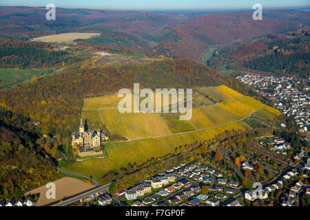 Weinberge im Herbst, Weinblätter, Ernte spät Arenfels Castle, im Besitz von Baron Antonius Geyr von Schweppenburg, Bad Breisig, Stockfoto