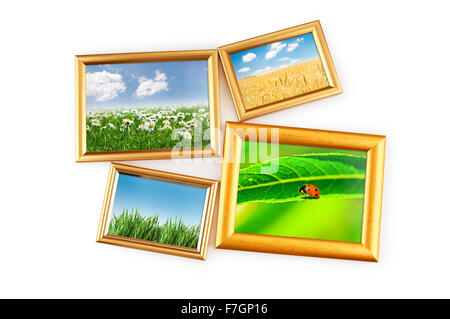 Naturfotos in Bilderrahmen Stockfoto