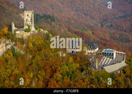 Burgruine Drachenfels mit Plateau und Glas Cube, Königswinter, Siebengebirge zwischen Königswinter und Bad Honnef fallen Stockfoto