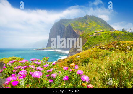 Madeira - Landschaft mit Blumen und Klippe Küste in der Nähe von Ponta Delgada, die Insel Madeira, Portugal Stockfoto