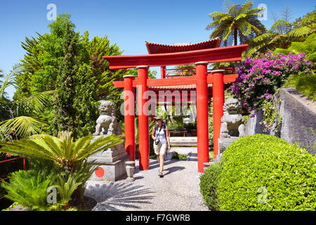 Monte Palace Tropical Garden (japanischer Garten) - Monte, die Insel Madeira, Portugal Stockfoto