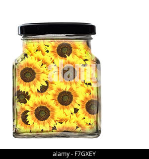 Glas mit Sonnenblumen, isoliert auf weiss. In Flaschen Freude, Sonnenschein. Stockfoto