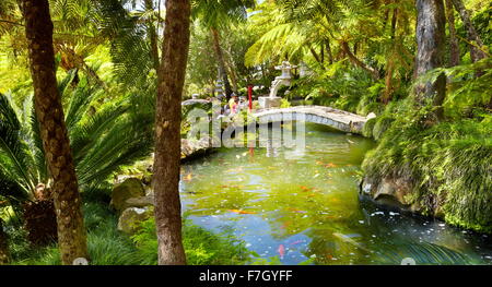 Monte Palace Tropical Garden (japanischer Garten) - Monte, die Insel Madeira, Portugal Stockfoto