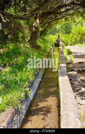 Das Levada 25 Fontes (25 Brunnen), Bewässerung-Kanal, Rabacal, Insel Madeira, Portugal Stockfoto