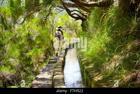 Das Levada 25 Fontes, Bewässerungskanal, Rabacal, Insel Madeira, Portugal Stockfoto