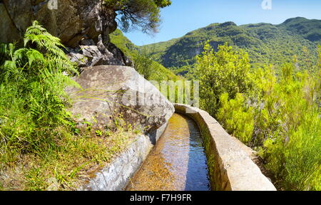 Das Levada 25 Fontes, Bewässerungskanal, Rabacal, Insel Madeira, Portugal Stockfoto