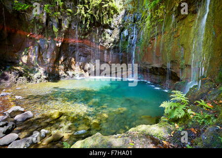 Levada 25 Brunnen, Rabacal, Insel Madeira, Portugal Stockfoto