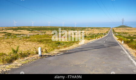 Die Straße auf der Hochebene Paul da Serra, die Insel Madeira, Portugal Stockfoto