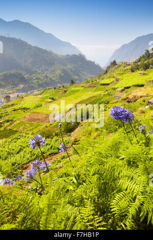 Querformat in der Nähe von Sao Vicente, die Insel Madeira, Portugal Stockfoto