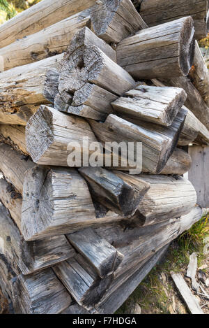 Detail einer verlassenen Bergmann-Kabine in der Weminuche Wilderness, Colorado. Stockfoto