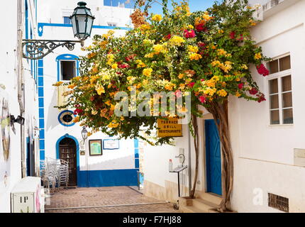 Blühende Blumen in Altstadt von Albufeira, Algarve, Portugal Stockfoto