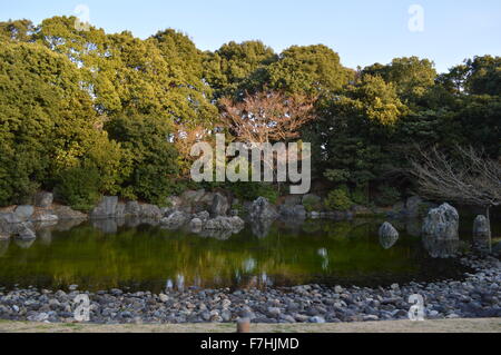 Wunderschöne Landschaft mit kleinen steinigen Teich und viel Grün mit blauen Himmel bedeckt Stockfoto