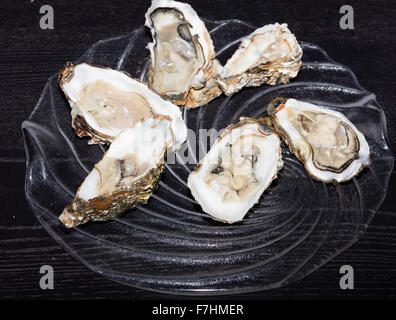 Ein Gericht mit frischen Austern mit Zitrone Stockfoto