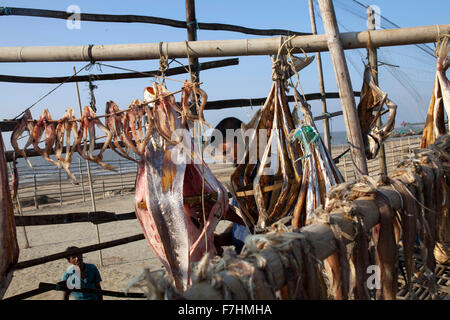 COX BAZAR, Bangladesch - November 29: Fisher Mann Dryingfish in Kutubdia Insel am 29. November 2015.  Kutubdia, eine Insel vor der Cox Bazar Küste. die Widrigkeiten der Natur ausgelöst vor allem durch Klima ändern. In den letzten zwei Jahrzehnten wurden die Auswirkungen des Klimawandels in Bangladesch Beschleunigung. Kutubdia ist auch schwer getroffen. Der Platz ist sehr anfällig für Wirbelstürme und Sturmfluten, die häufige und intensive in Bangladesch sowie steigender Meeresspiegel und stärkeren Wellen geworden sind. Das Ergebnis ist massive Erosion und Salininty eindringen, nicht nur landwirtschaftliche Nutzflächen zu zerstören, sondern verursacht migrati Stockfoto