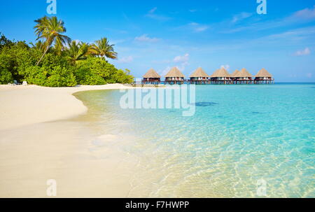 Tropical Beach in Malediven, Ari Atoll Stockfoto