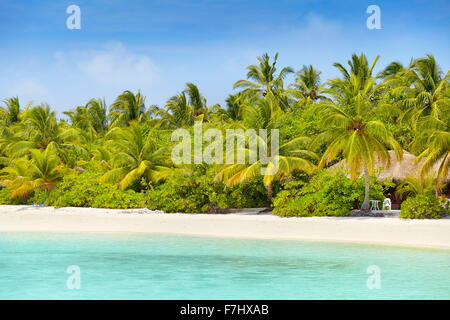 Malediven Insel, Ari Atoll Stockfoto