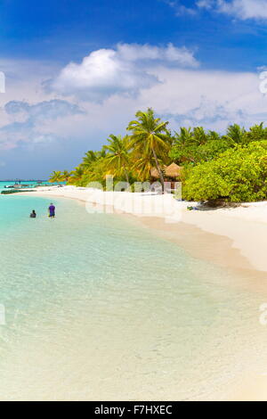 Malediven-Inseln, tropischen Strand auf dem Ari-Atoll Stockfoto