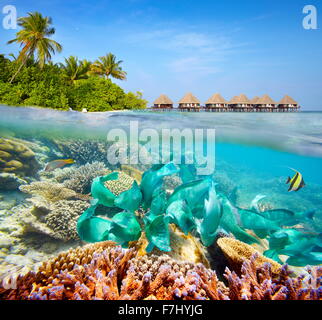 Unterwasserlandschaft auf Malediven-Insel Stockfoto