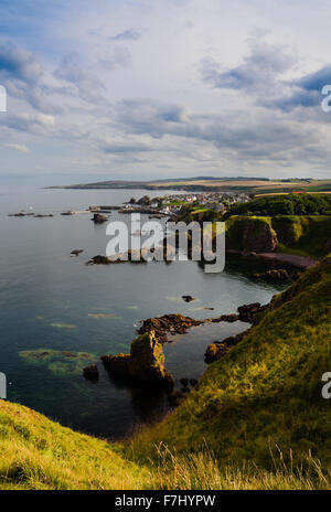 St. Abbs auf der Süd-Ost-Küste von Schottland. Stockfoto