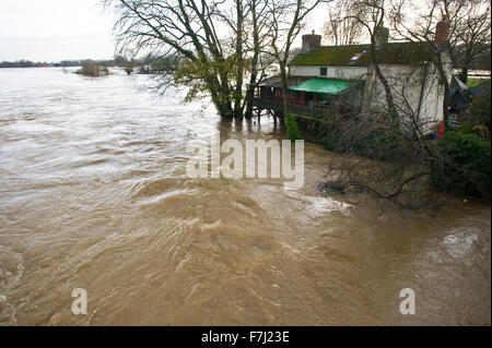 Whitney-on-Wye, Herefordshire, England. 1. Dezember 2015. UK-Wetter: Riverside Cottage neben Whitney-on-Wye Mautbrücke Herefordshire mit umgeben vom Fluss Wye überflutet, nachdem es den Banken platzen Ackerland. Bildnachweis: Jeff Morgan/Alamy Live-Nachrichten Stockfoto