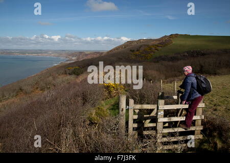 Walker am süd-westlichen Fußweg auf Dizzard in Boscastle, Widemouth SSSI, Cornish Nordküste Stockfoto