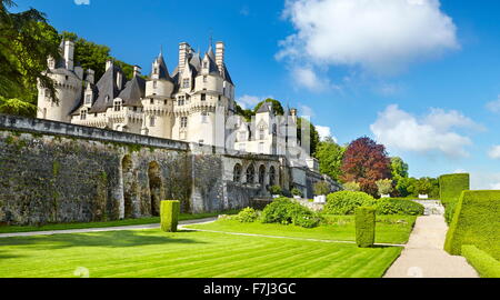 Usse Burg, Usse, Loiretal, Frankreich Stockfoto